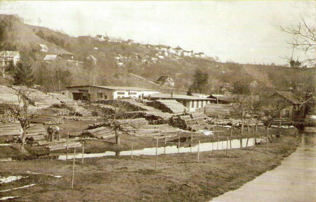 Derničeva žaga, ok. 1910